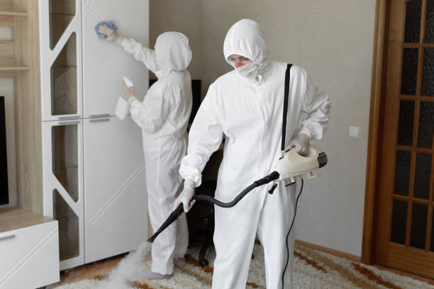 24/7 Emergency Odor Removal experts in Alliance, OH